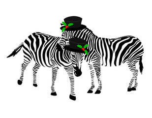 Fototapeta na wymiar Two zebras wearing hat. Black and white, vector illustration isolated on white background.