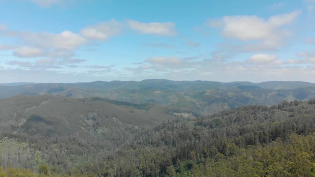 Forward moving aerial shot of a large eucalyptus tree plantation among the mountains of the strzelecki ranges.