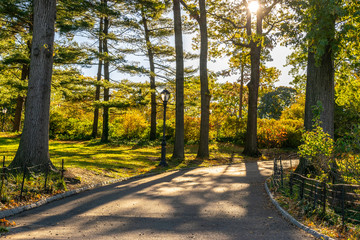 A walking/jogging path through a nature park in Manhattan New York City during the Autumn/Fall season