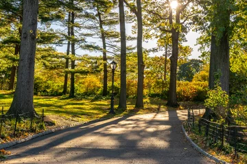 Fotobehang New York A walking/jogging path through a nature park in Manhattan New York City during the Autumn/Fall season  © Debbie Ann Powell