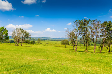 Nature background of landscape of Savanna Forest and mountain with a blue sky and white clouds in the spring afternoon at Thung Salaeng Luang National Park, Phetchaboon, Thailand