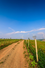 Fototapeta na wymiar Windmill turbine for electric production at Khao Kho, Petchaboon, Thailand
