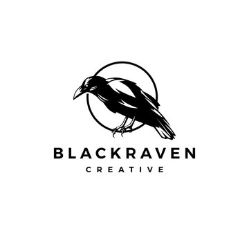 black raven crow logo vector icon illustration