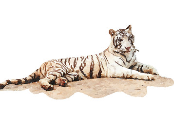 Digital painting of white tiger on white background