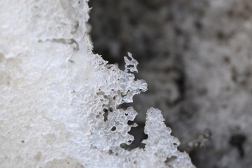 The crust of ice on snow