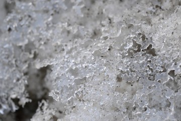 The crust of ice on snow