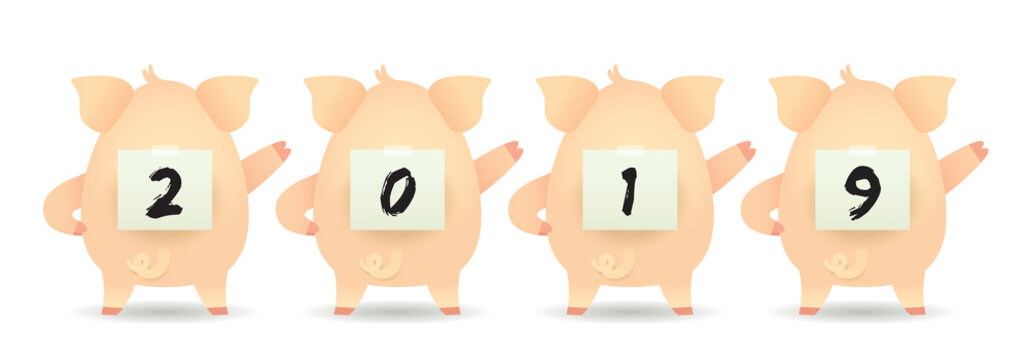 2019 year of the pig. Cute cartoon pigs with paper writing of 2019 isolated on white background. New year vector design element.