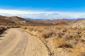 Dirt road in the desert on the way to Gold Point, Nevada, USA