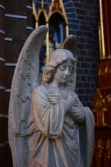 Fototapeta premium Venus