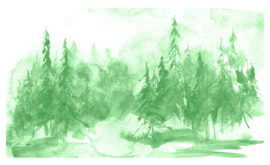 Fototapeta premium Watercolor coniferous forest, fir, pine, cedar. Vintage illustration of green on white isolated background. Watercolor countryside landscape. Abstract splash of paint.