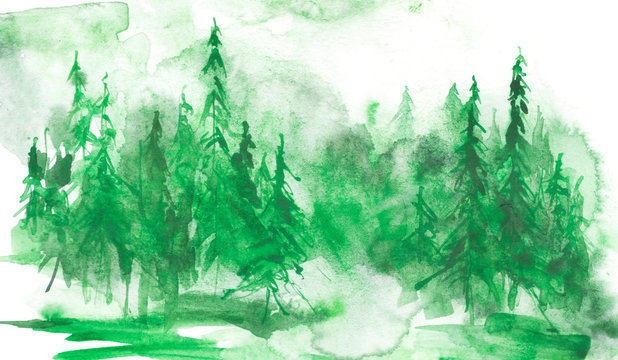 Watercolor coniferous forest, fir, pine, cedar. Vintage illustration of green on white isolated background. Watercolor countryside landscape. Abstract splash of paint.
