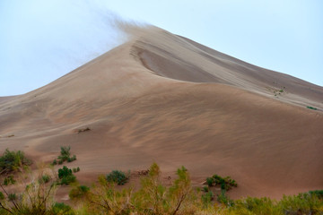 Fototapeta premium Sandstorm in desert. Sandstorm in the dunes.