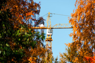 Yellow construction crane among autumn trees