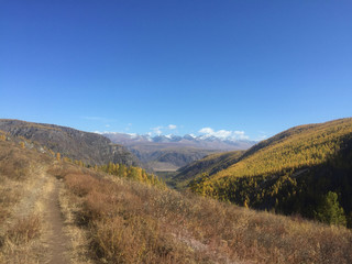 Naklejka premium View of Altai mountains valley trail during autumn. Mountains ridge and clear blue sky
