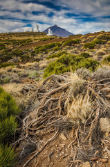 Observatorio Astronómico