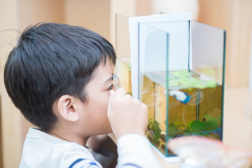 Kid study biology insect in the science class