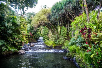 Poster de jardin  Rainforest Hot Springs  © Maryna