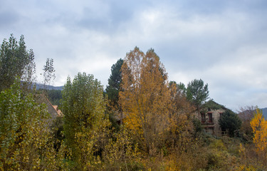 Fototapeta premium autumnal landscape in nature