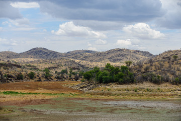 African landscape with tree