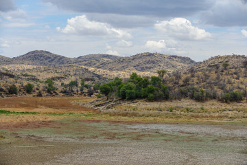 Fototapeta na wymiar African landscape with tree