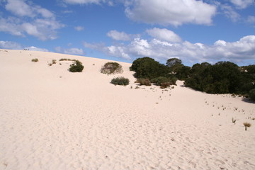 Little Sahara, Kangaroo Island, South Australia