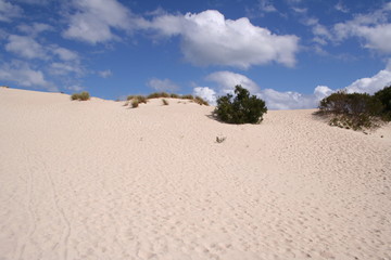 Little Sahara, Kangaroo Island, South Australia