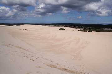 Fototapeta na wymiar Little Sahara, Kangaroo Island, South Australia