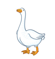 White goose isolated on white background. Cartoon funny goose, sketch feathered farm animal