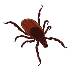 Tick isolated on white background. Tick parasite. Sketch of Tick. Vector illustration