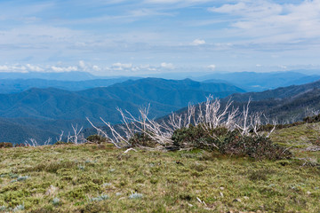 Australia Alpine NP