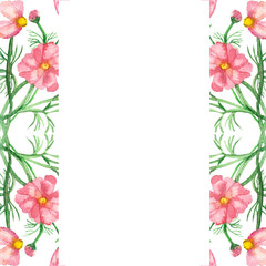 Obraz na płótnie Canvas Watercolor banner delicate pink flowers on green stems with needle leaves isolated on white background. Hand painted rare pink daisies for elegant design of wedding invitations, greeting cards.