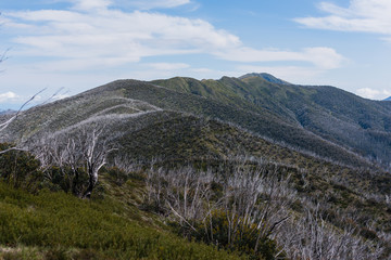 Australia Alpine NP