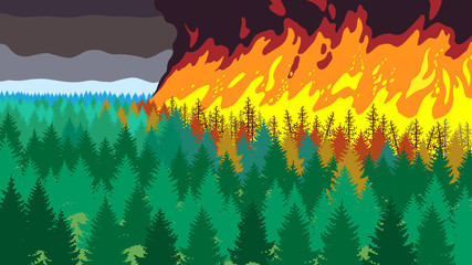 Terrible forest fire, landscape wich wildfire, ecological catastrophe, sky in smoke