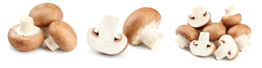 Tissu par mètre Légumes frais Fresh champignon mushrooms isolated on white background