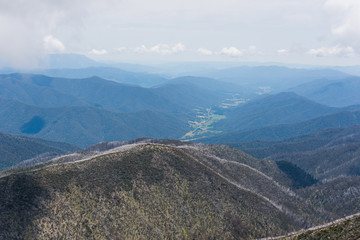 Australia Alpine NP