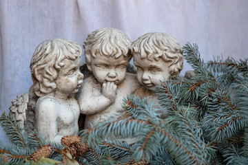 3 angelots entourés de branches de sapin de Noël décoration romantique avec des chérubins pour célébrer noël et les fêtes de fin d'année