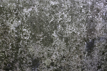 rough texture of a old gray wall.