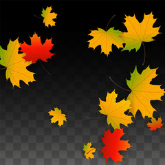September Vector Background with Golden Falling Leaves. Autumn Illustration with Maple Red, Orange, Yellow Foliage. Isolated Leaf on Transparent Background. Bright Swirl. Suitable for Posters.