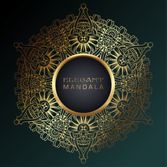 Vector round abstract circle. Mandala style. Decorative element, colored circular design element.