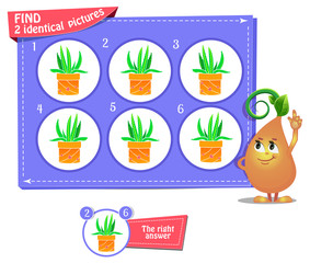 fnd 2 identical flower