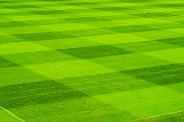 Square pattern on green grass soccer field