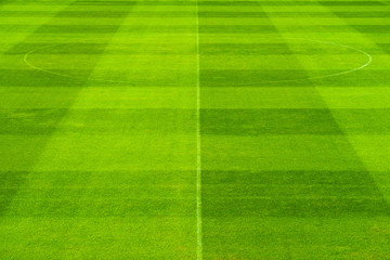 Pattern of green grass soccer field with center circle
