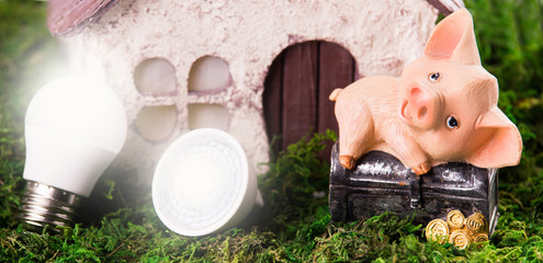 Led lamps and piggy bank lie near the house layout on green moss background.