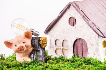 Led lamps and piggy bank lie near the house layout on green moss background.