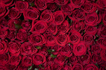 Close up view of claret roses bouquet. Red roses background. Top view.