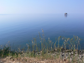 Complete calm in nature