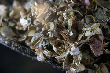 Oregano is a minor spice in German cuisine, but it is a very important spice in Italian, Greek and Spanish cuisine