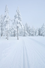 Cross-country trail through a frozen landscape in Norway