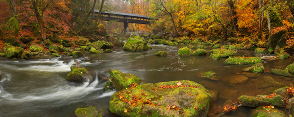 River with a covered bridge in a forest in autumn
