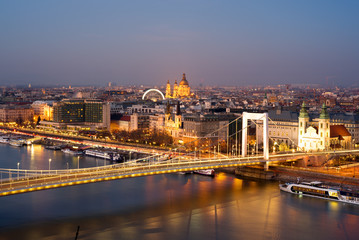 Fototapeta premium Elisabeth bridge against city at night. Budapest, Hungary